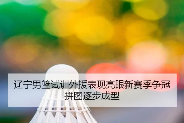 辽宁男篮试训外援表现亮眼新赛季争冠拼图逐步成型
